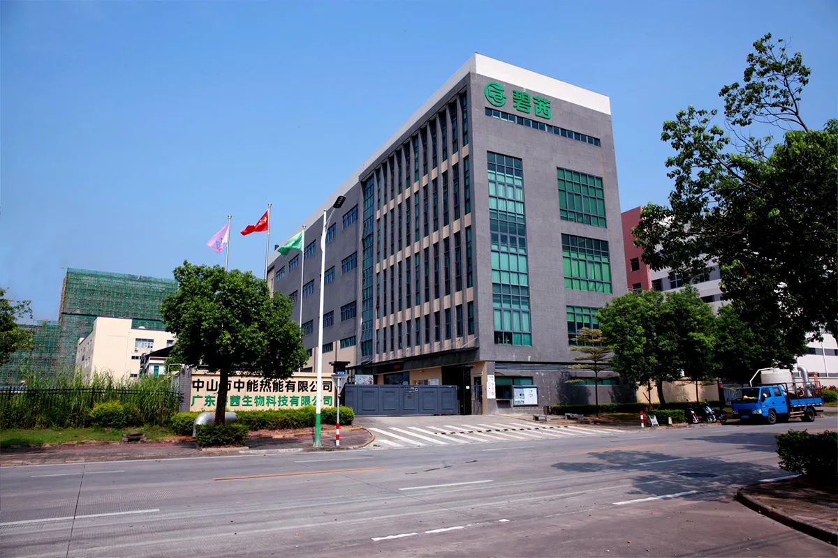 আমাদের সম্পর্কে